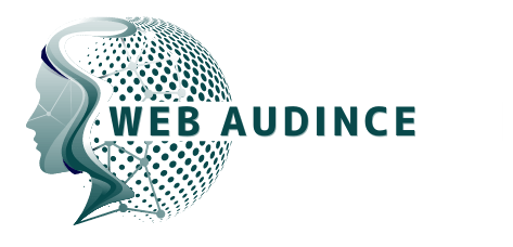 Digital Marketing Agency In Jaipur - Web Audience